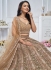 Brown Net Festival Wear Embroidery Work Lehenga Choli KF04B